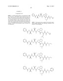 Peptidomimetic protease inhibitors diagram and image