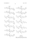 Peptidomimetic protease inhibitors diagram and image