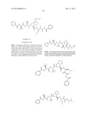 Peptidomimetic protease inhibitors diagram and image