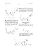 Peptidomimetic protease inhibitors diagram and image