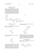 Peptidomimetic protease inhibitors diagram and image