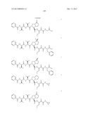 Peptidomimetic protease inhibitors diagram and image