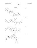 Peptidomimetic protease inhibitors diagram and image