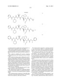 Peptidomimetic protease inhibitors diagram and image