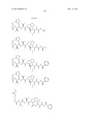 Peptidomimetic protease inhibitors diagram and image