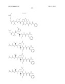 Peptidomimetic protease inhibitors diagram and image