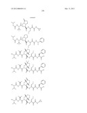 Peptidomimetic protease inhibitors diagram and image