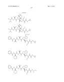 Peptidomimetic protease inhibitors diagram and image