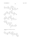 Peptidomimetic protease inhibitors diagram and image