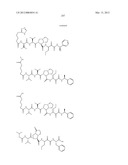 Peptidomimetic protease inhibitors diagram and image