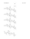 Peptidomimetic protease inhibitors diagram and image