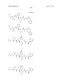 Peptidomimetic protease inhibitors diagram and image