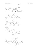 Peptidomimetic protease inhibitors diagram and image