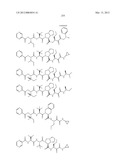 Peptidomimetic protease inhibitors diagram and image