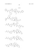 Peptidomimetic protease inhibitors diagram and image