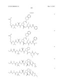 Peptidomimetic protease inhibitors diagram and image