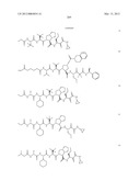 Peptidomimetic protease inhibitors diagram and image