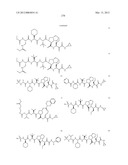 Peptidomimetic protease inhibitors diagram and image