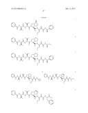 Peptidomimetic protease inhibitors diagram and image