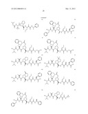 Peptidomimetic protease inhibitors diagram and image