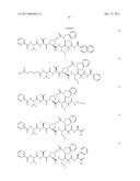 Peptidomimetic protease inhibitors diagram and image