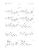 Peptidomimetic protease inhibitors diagram and image