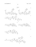 Peptidomimetic protease inhibitors diagram and image