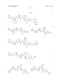 Peptidomimetic protease inhibitors diagram and image