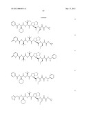 Peptidomimetic protease inhibitors diagram and image