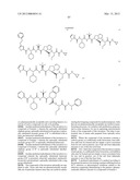 Peptidomimetic protease inhibitors diagram and image