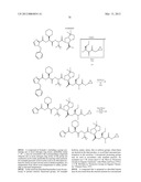 Peptidomimetic protease inhibitors diagram and image