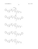 Peptidomimetic protease inhibitors diagram and image