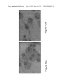 VACCINE IMMUNOTHERAPY diagram and image