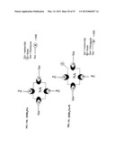 Methods For Treating Diseases and HCV Using Antibodies To     Aminophospholipids diagram and image