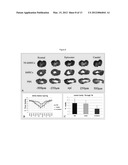 Efficient Generation of Neurally-Induced Mesenchymal Stem Cells and     Applications Thereof diagram and image