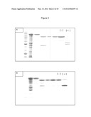 FUSION PROTEINS diagram and image