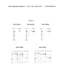 FUSION PROTEINS diagram and image