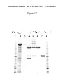 FUSION PROTEINS diagram and image