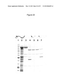 FUSION PROTEINS diagram and image