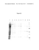 FUSION PROTEINS diagram and image