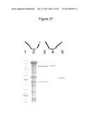 FUSION PROTEINS diagram and image