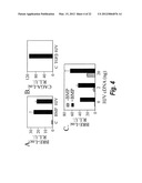 METHODS AND COMPOSITION TO REGULATE IRON METABOLISM diagram and image