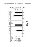 METHODS AND COMPOSITION TO REGULATE IRON METABOLISM diagram and image