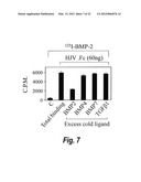 METHODS AND COMPOSITION TO REGULATE IRON METABOLISM diagram and image