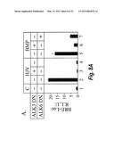 METHODS AND COMPOSITION TO REGULATE IRON METABOLISM diagram and image