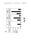 METHODS AND COMPOSITION TO REGULATE IRON METABOLISM diagram and image