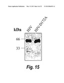 METHODS AND COMPOSITION TO REGULATE IRON METABOLISM diagram and image