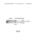 Novel Tumor Biomarket diagram and image