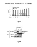 Novel Tumor Biomarket diagram and image