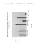 AMINOACYL TRNA SYNTHETASES FOR MODULATING HEMATOPOIESIS diagram and image